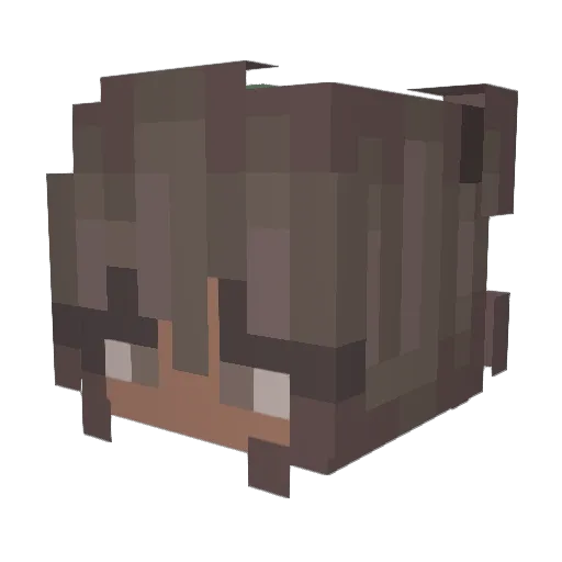 oLizzy Minecraft avatar head, 3D render