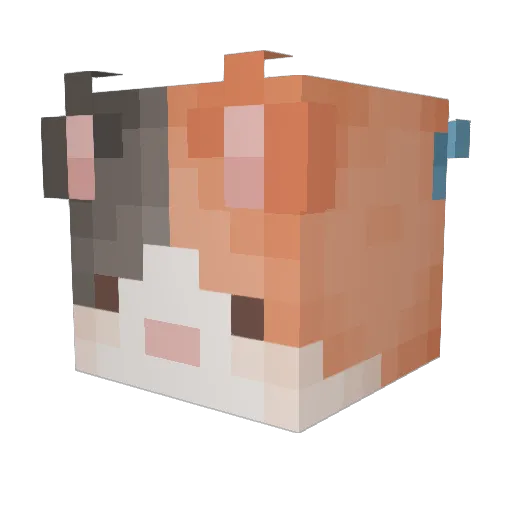 oMeow6 Minecraft avatar head, 3D render