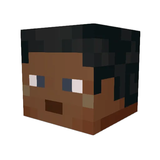 oN4SH Minecraft avatar head, 3D render