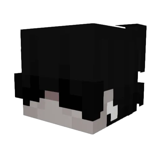 oNatural1 Minecraft avatar head, 3D render