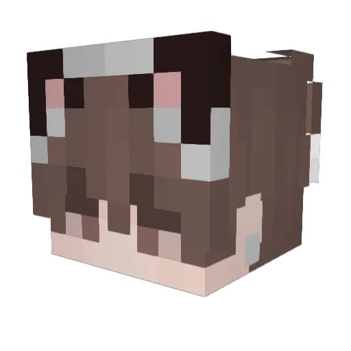 oNoimless Minecraft avatar head, 3D render