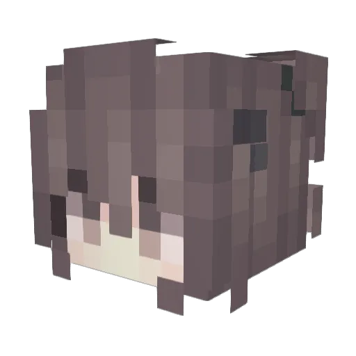 oOEmilyOo Minecraft avatar head, 3D render