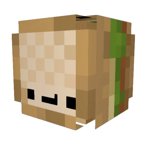 oORedhaOo Minecraft avatar head, 3D render