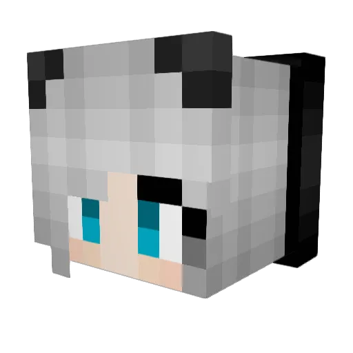 oOToxicTearsOo Minecraft avatar head, 3D render