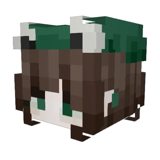 oOfireheartOo Minecraft avatar head, 3D render