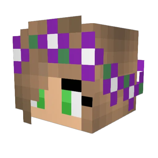 oOoEcHoZzoOo Minecraft avatar head, 3D render