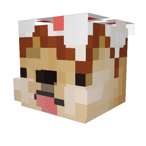 oPancakes Minecraft avatar head, 3D render
