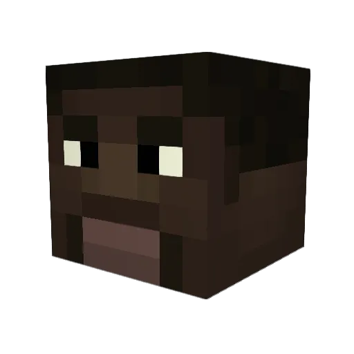 oPercocet Minecraft avatar head, 3D render