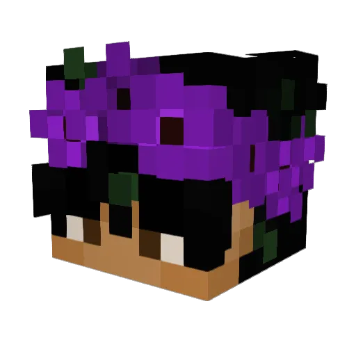 oPerfectionist Minecraft avatar head, 3D render