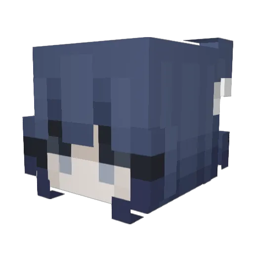 oPonchito Minecraft avatar head, 3D render