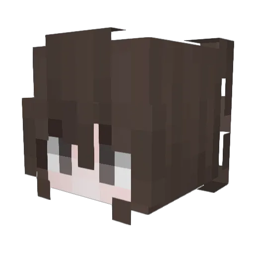 oPw2 Minecraft avatar head, 3D render