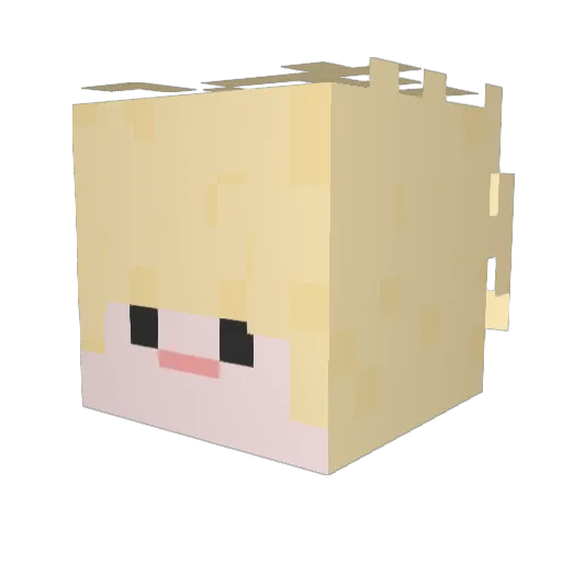 oR_ee Minecraft avatar head, 3D render