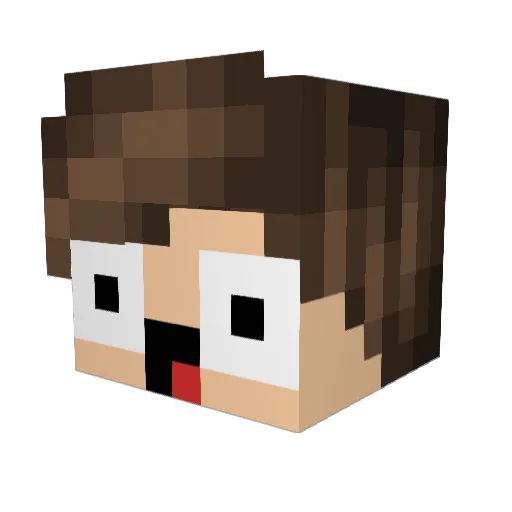 oRequired Minecraft avatar head, 3D render