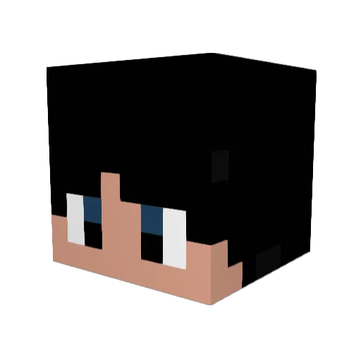 oRochaa_ Minecraft avatar head, 3D render