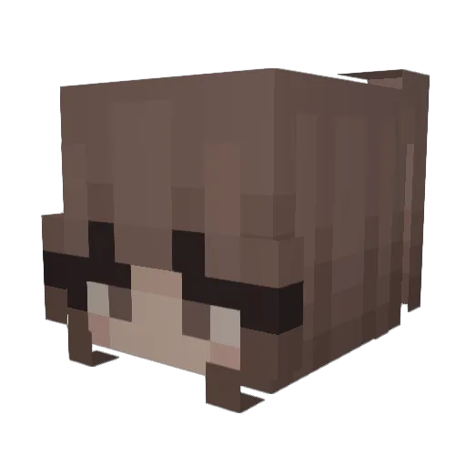 oSAROo Minecraft avatar head, 3D render