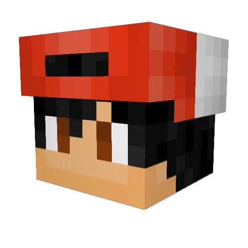 oSnack_ Minecraft avatar head, 3D render