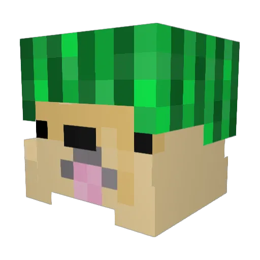 oTomb6 Minecraft avatar head, 3D render
