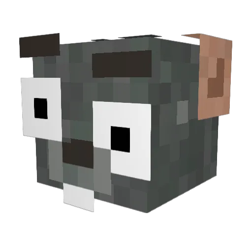 oTouch Minecraft avatar head, 3D render