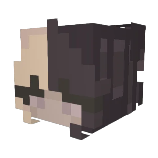 oTouna Minecraft avatar head, 3D render