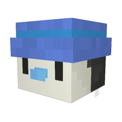 oTui_ Minecraft avatar head, 3D render
