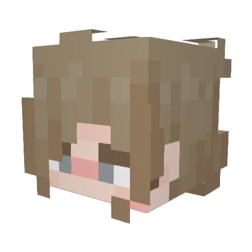 oTxmpo Minecraft avatar head, 3D render