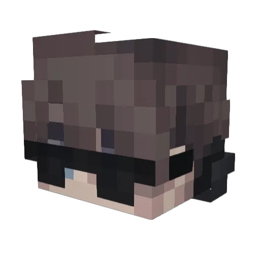 oVoidPhobic Minecraft avatar head, 3D render