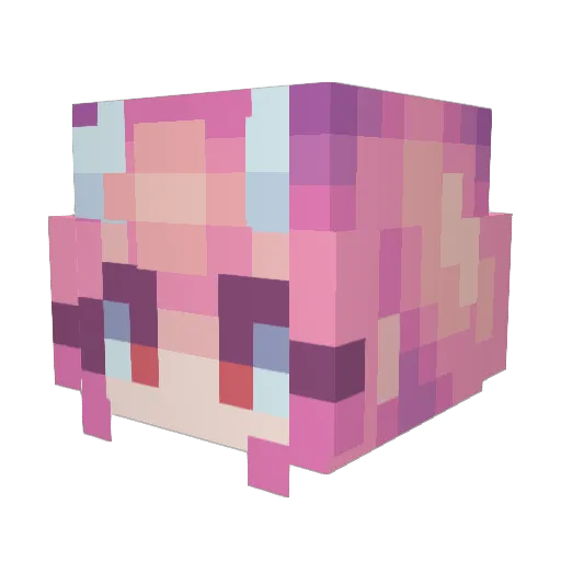 oWingzy Minecraft avatar head, 3D render
