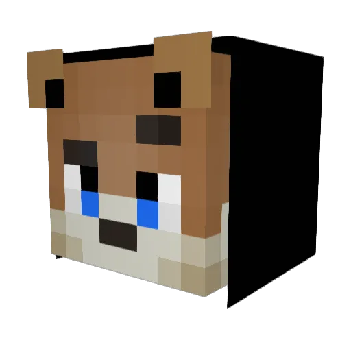 oXSILVIOXo Minecraft avatar head, 3D render