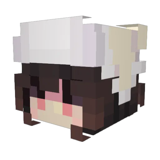 oXmelodyXo Minecraft avatar head, 3D render