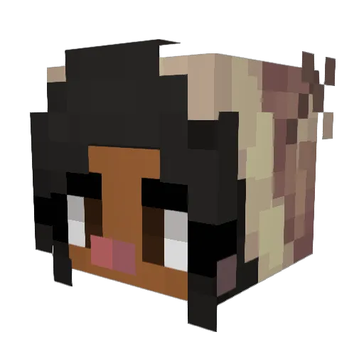 o_Danie Minecraft avatar head, 3D render