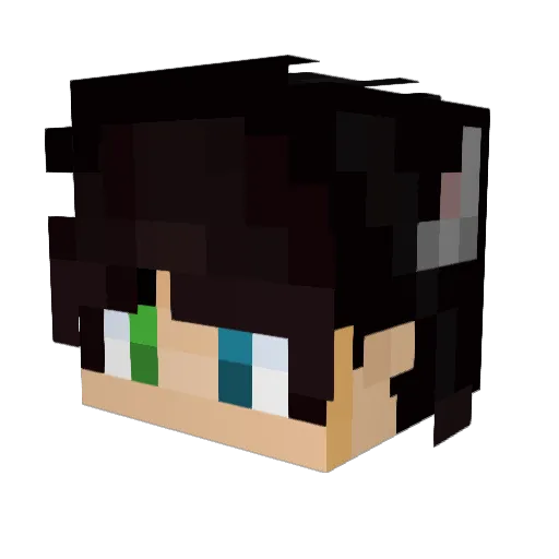 o_Fardoche_o Minecraft avatar head, 3D render