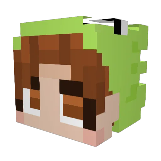 o_Heroi_ Minecraft avatar head, 3D render