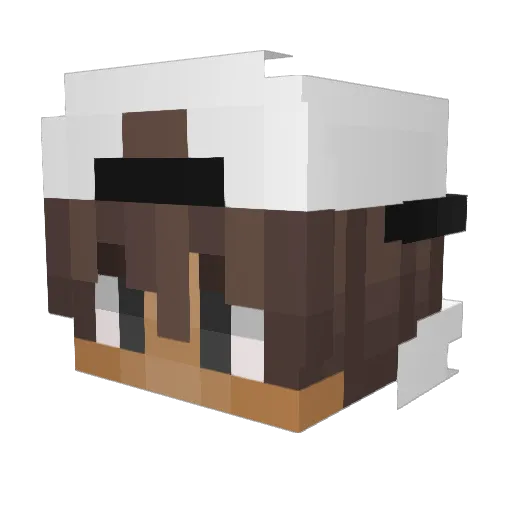 o_KaB0oM_o Minecraft avatar head, 3D render