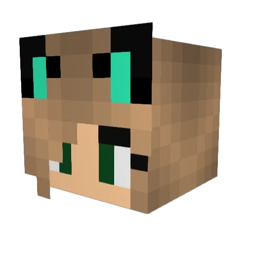 o_Tinkerbell_o Minecraft avatar head, 3D render