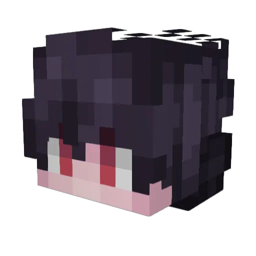o_a_n Minecraft avatar head, 3D render