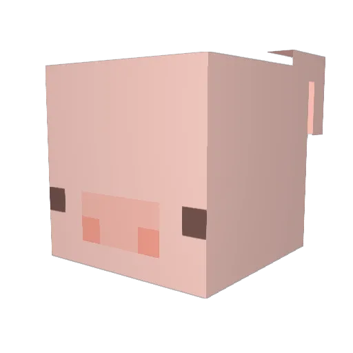 o_ron Minecraft avatar head, 3D render
