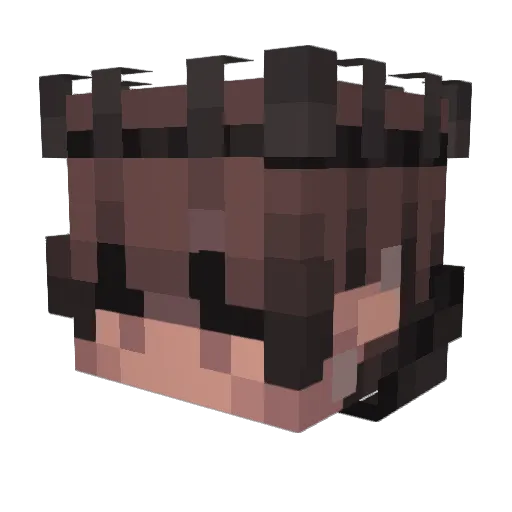 o_zleeper_awake Minecraft avatar head, 3D render