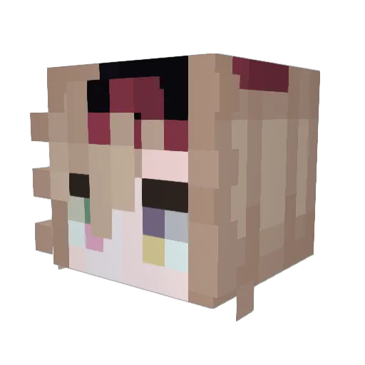 oak2137 Minecraft avatar head, 3D render