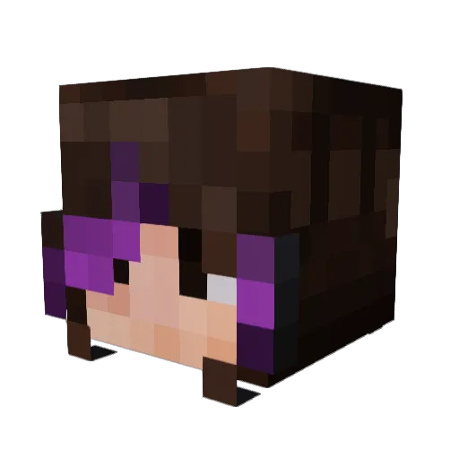 oakdll Minecraft avatar head, 3D render