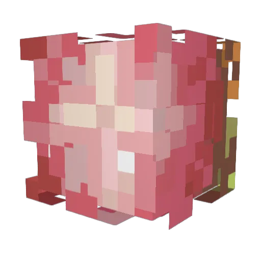 oakleye Minecraft avatar head, 3D render