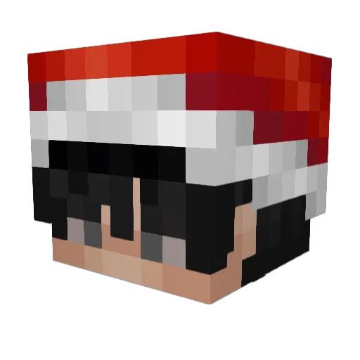 oakwood_ Minecraft avatar head, 3D render