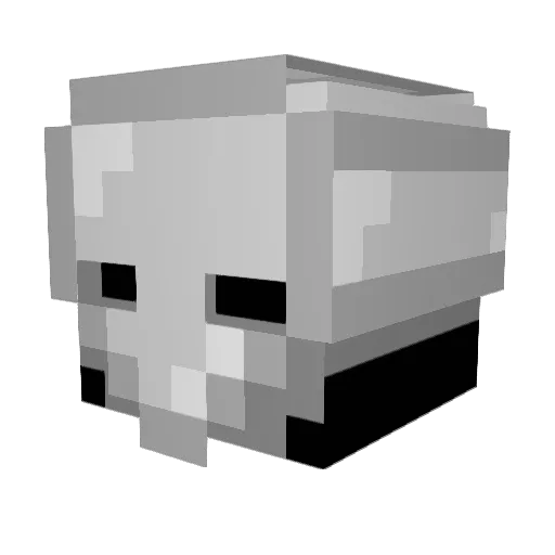 oander3621 Minecraft avatar head, 3D render