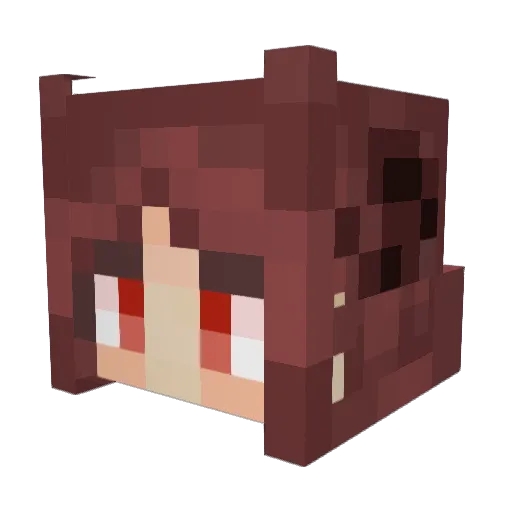 oasi_s Minecraft avatar head, 3D render