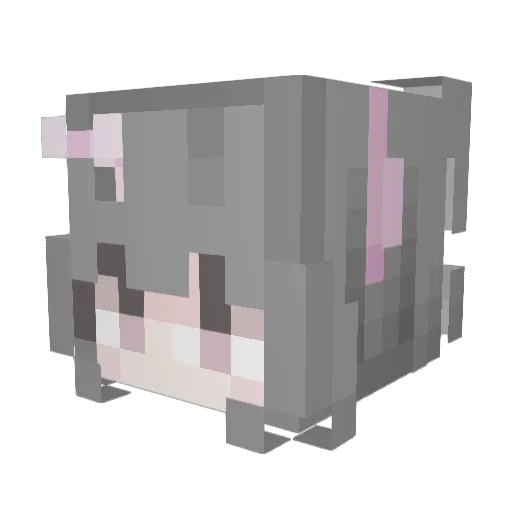 oasis121003 Minecraft avatar head, 3D render