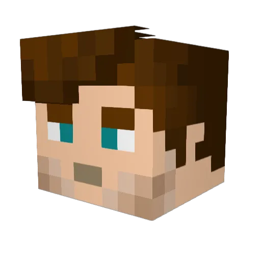 oasis_nick Minecraft avatar head, 3D render