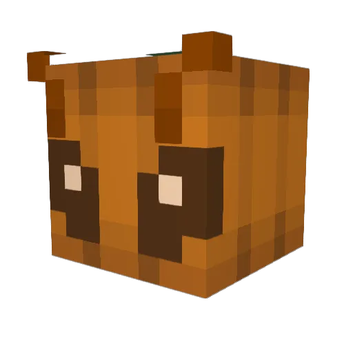 oat69 Minecraft avatar head, 3D render