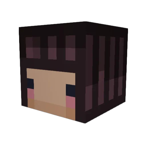 oatsandmeal Minecraft avatar head, 3D render