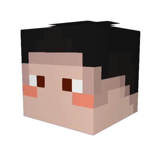 oatyoghurt Minecraft avatar head, 3D render