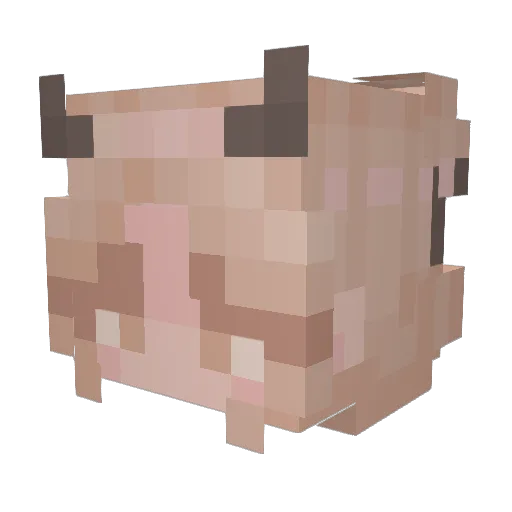 obean_ Minecraft avatar head, 3D render