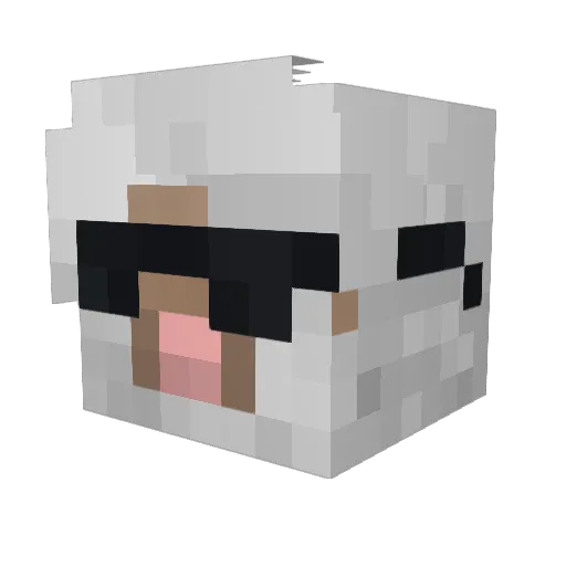 obeymemeron Minecraft avatar head, 3D render